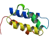 S100 Calcium Binding Protein A3 (S100A3)