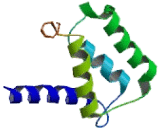 S100 Calcium Binding Protein A6 (S100A6)