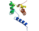 S100 Calcium Binding Protein A7 Like Protein 2 (S100A7L2)