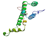 SAC3 Domain Containing Protein 1 (SAC3D1)