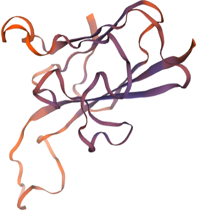 SAG-related sequence SRS34A, Toxoplasma gondii (P22)