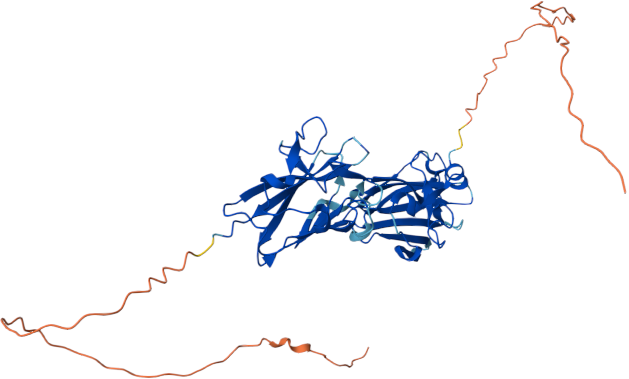 SAG-related sequence SRS57, Toxoplasma gondii (SAG3)