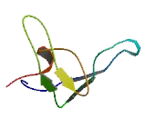 SAM And SH3 Domain Containing Protein 3 (SASH3)