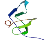 SAM Domain, SH3 Domain And Nuclear Localization Signals 1 (SAMSN1)