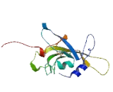 SAP30 Binding Protein (SAP30BP)