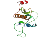 SCY1 Like Protein 2 (SCYL2)