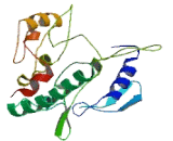 SCY1 Like Protein 3 (SCYL3)