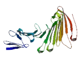 SDA1 Domain Containing Protein 1 (SDAD1)