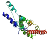 SEC14 And Spectrin Domains Protein 1 (SESTD1)