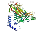 SEC14 Like Protein 5 (SEC14L5)