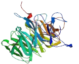 SEC31 Homolog A (SEC31A)