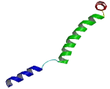 SEC61 Gamma (SEC61g)