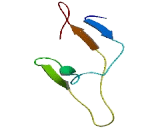 SET And MYND Domain Containing Protein 2 (SMYD2)