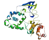 SET And MYND Domain Containing Protein 3 (SMYD3)