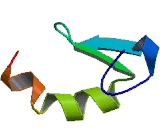 SET And MYND Domain Containing Protein 4 (SMYD4)