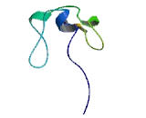 SET And MYND Domain Containing Protein 5 (SMYD5)