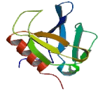 SET Binding Factor 2 (SBF2)