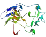 SET Domain, Bifurcated 1 (SETDB1)