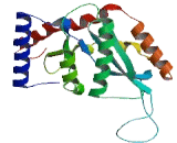 SET Domain And Mariner Transposase Fusion Gene (SETMAR)