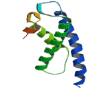 SET Domain Containing Protein 2 (SETD2)