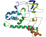 SET Domain Containing Protein 4 (SETD4)