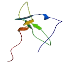 SET Domain Containing Protein 5 (SETD5)