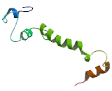 SFT2 Domain Containing Protein 2 (SFT2D2)