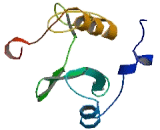 SH2 Domain Containing Protein 3A (SH2D3A)