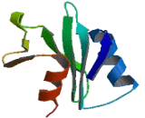 SH2 Domain Containing Protein 4A (SH2D4A)