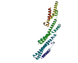 SH2 Domain Containing Protein 4B (SH2D4B)