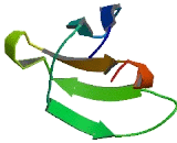 SH3 Domain And Tetratricopeptide Repeats Protein 1 (SH3TC1)