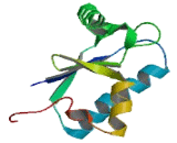 SH3 Domain Binding Glutamic Acid Rich Protein Like 2 Protein (SH3BGRL2)