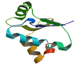 SH3 Domain Binding Glutamic Acid Rich Protein Like 3 Protein (SH3BGRL3)