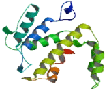 SH3 Domain Binding Protein 1 (SH3BP1)