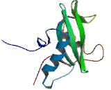 SH3 Domain Binding Protein 2 (SH3BP2)