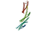 SH3 Domain Binding Protein 5 Like Protein (SH3BP5L)