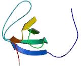 SH3 Domain Containing, Ysc84 Like Protein 1 (SH3YL1)