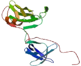 SH3 Domain Containing Protein 21 (SH3D21)