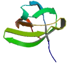 SH3 Domain Containing Ring Finger Protein 2 (SH3RF2)