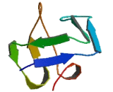 SH3 Domain Containing Ring Finger Protein 3 (SH3RF3)