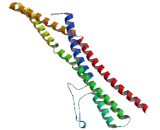 SH3 Domain GRB2 Like Protein 2 (SH3GL2)