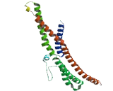 SH3 Domain GRB2 Like Protein 3 (SH3GL3)