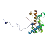 SHC SH2 Domain Binding Protein 1 Like Protein (SHCBP1L)