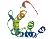 SID1 Transmembrane Family, Member 1 (SIDT1)