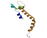 SIL1 Homolog (SIL1)