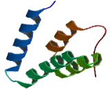 SIN3 Homolog B (SIN3B)