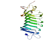 SLIT And NTRK Like Protein 2 (SLITRK2)