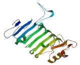 SLIT And NTRK Like Protein 3 (SLITRK3)