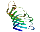 SLIT And NTRK Like Protein 4 (SLITRK4)