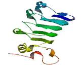 SLIT And NTRK Like Protein 6 (SLITRK6)